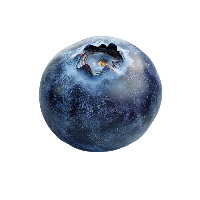 Ready for new experience