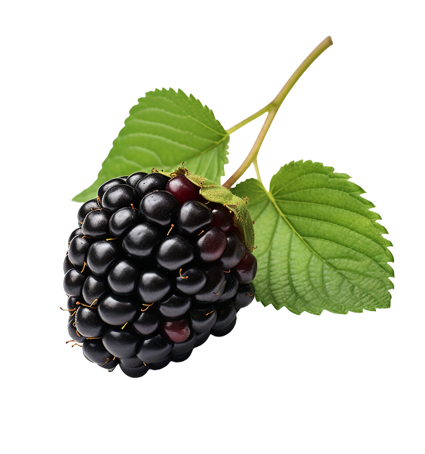 Ready for new experience